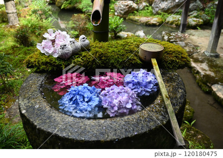 花手水発祥の地 京都府長岡京市の楊谷寺 120180475