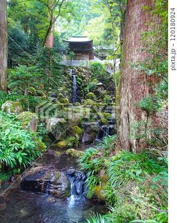 曹洞宗 大雄山最乗寺(神奈川県南足柄市大雄町) 曹洞宗 大雄山最乗寺(神奈川県南足柄市大雄町) 120180924