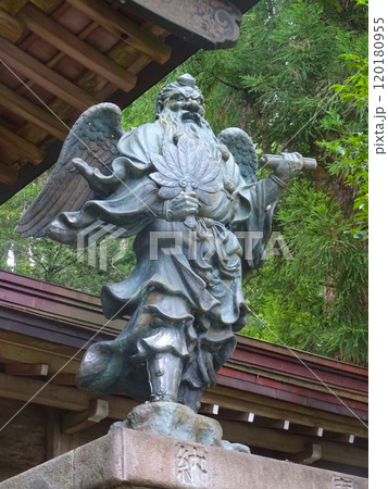 曹洞宗 大雄山最乗寺（神奈川県南足柄市大雄町） 120180955