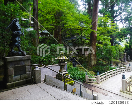 曹洞宗 大雄山最乗寺(神奈川県南足柄市大雄町) 曹洞宗 大雄山最乗寺(神奈川県南足柄市大雄町) 120180958