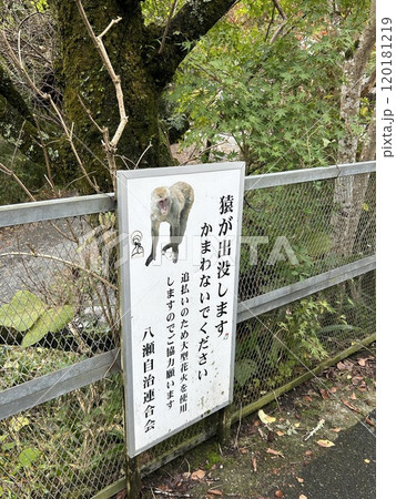 京都 八瀬 120181219