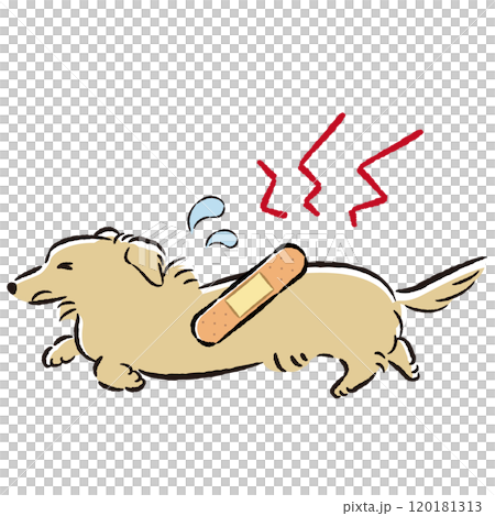 怪我をして困った表情の犬のイラスト 120181313