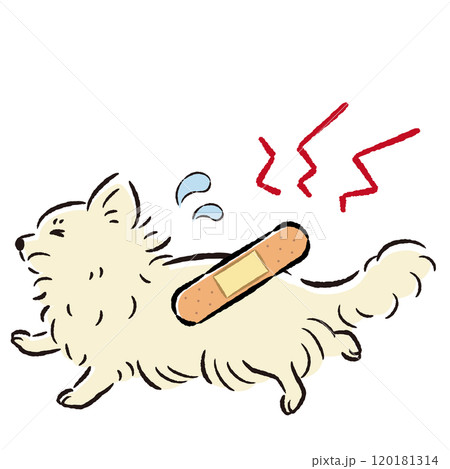 怪我をして困った表情の犬のイラスト 120181314