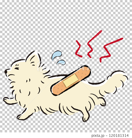 怪我をして困った表情の犬のイラスト 120181314