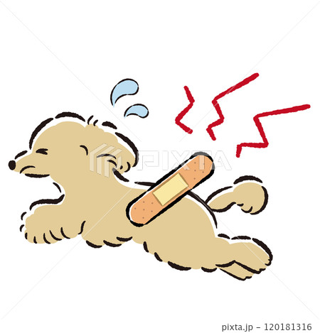 怪我をして困った表情の犬のイラスト 120181316