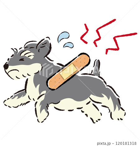 怪我をして困った表情の犬のイラスト 怪我をして困った表情の犬のイラスト 120181318