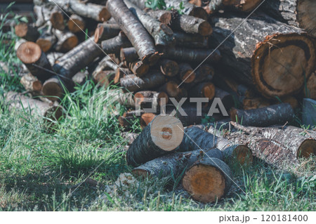 薪づくり 120181400