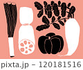 冬野菜が美味しい季節 120181516