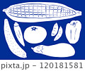 涼しげな夏野菜たち 120181581