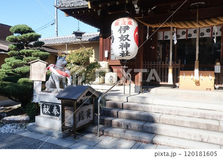 伊奴神社本社と犬石像 伊奴神社本社と犬石像 120181605