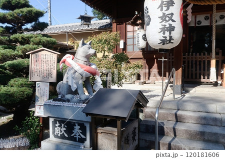 伊奴神社本社前の犬石像 120181606