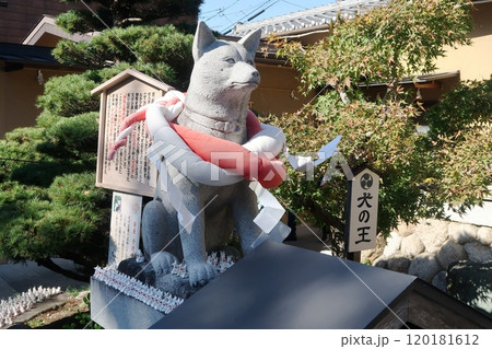 伊奴神社の犬石像 伊奴神社の犬石像 120181612