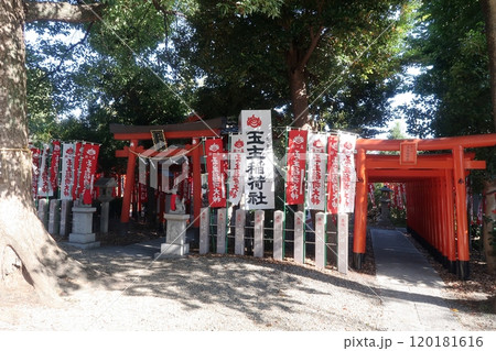 伊奴神社にある玉主稲荷社 120181616