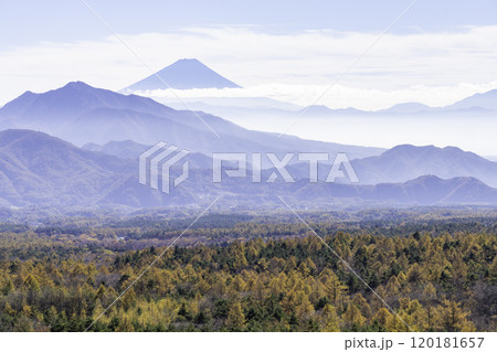 美し森から見る紅葉と富士山 120181657