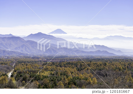 美し森から見る紅葉と富士山 120181667