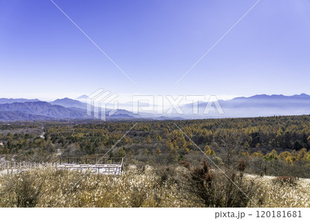 美し森から見る紅葉と富士山 120181681