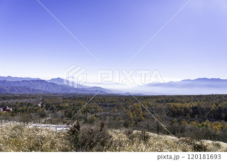 美し森から見る紅葉と富士山 美し森から見る紅葉と富士山 120181693