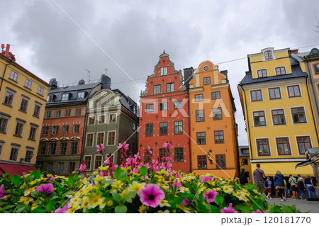 スウェーデン ストックホルムの旧市街、ガムラスタンの大広場 120181770