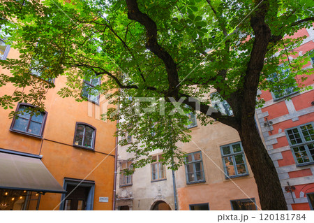 スウェーデン ストックホルムの旧市街、ガムラスタンの路地裏 120181784