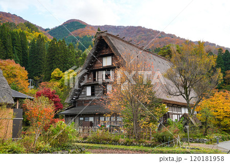 白川郷 紅葉 白川郷 紅葉 120181958