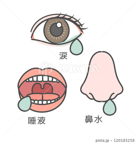 目 口 鼻 涙 鼻水 唾液 イラスト(説明あり) 目 口 鼻 涙 鼻水 唾液 イラスト(説明あり) 120183258