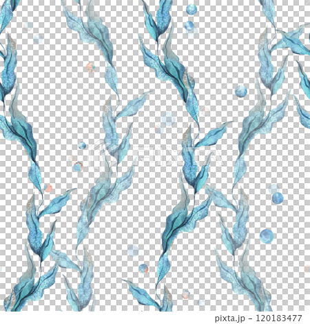 Sea blue algae with leaves wriggling in a wave with bubbles. Watercolor illustration of the underwater world hand drawn. Seamless pattern on a white background for fabric, textile, prints, design. Sea blue algae with leaves wriggling in a wave with bubbles. Watercolor illustration of the underwater world hand drawn. Seamless pattern on a white background for fabric, textile, prints, design. 120183477