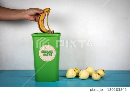Organic Waste. Man 's hand throws a banana peel in a green waste container Organic Waste. Man 's hand throws a banana peel in a green waste container 120183843
