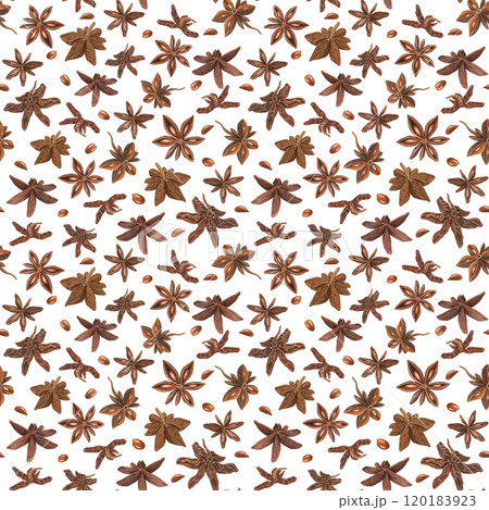 Watercolor star anise seeds seamless pattern. Aromatic brown dried natural spice for making drinks and baking illustration. Badian ornate for decoration of menu, Christmas and New Year textile Watercolor star anise seeds seamless pattern. Aromatic brown dried natural spice for making drinks and baking illustration. Badian ornate for decoration of menu, Christmas and New Year textile 120183923