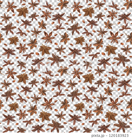 Watercolor star anise seeds seamless pattern. Aromatic brown dried natural spice for making drinks and baking illustration. Badian ornate for decoration of menu, Christmas and New Year textile Watercolor star anise seeds seamless pattern. Aromatic brown dried natural spice for making drinks and baking illustration. Badian ornate for decoration of menu, Christmas and New Year textile 120183923
