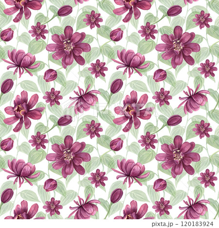 Floral seamless pattern of purple double multi petal flowers and Intertwined leaf stems. Blooming Carolina allspice or Calycanthus flower watercolor botanical illustration. For clothing textile 120183924
