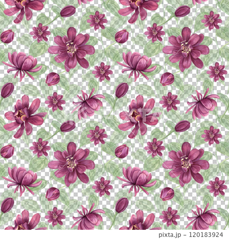 Floral seamless pattern of purple double multi petal flowers and Intertwined leaf stems. Blooming Carolina allspice or Calycanthus flower watercolor botanical illustration. For clothing textile 120183924