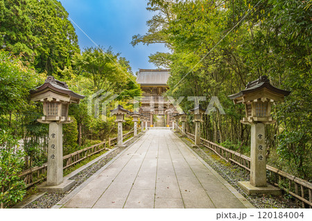浜松市にある秋葉山本宮秋葉神社上社の新緑に包まれた西ノ閽の神門の風景(静岡県) 浜松市にある秋葉山本宮秋葉神社上社の新緑に包まれた西ノ閽の神門の風景(静岡県) 120184004