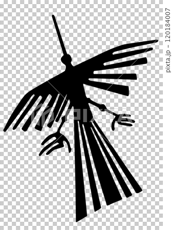 納斯卡的風景禿鷹 120184007