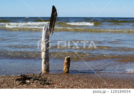 Baltic sea beach in Latvia. Baltic sea beach in Latvia. 120184054
