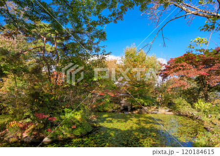 群馬県渋川市 伊香保温泉、ハワイ王国公使別邸 日本庭園 群馬県渋川市 伊香保温泉、ハワイ王国公使別邸 日本庭園 120184615