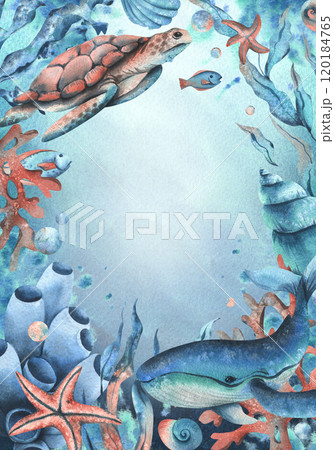Sea animals, turtles, whale, seaweed, corals, sponges, starfish, shells, fish and bubbles. Watercolor illustration of the underwater world hand drawn. Vertical rectangular frame template, postcard Sea animals, turtles, whale, seaweed, corals, sponges, starfish, shells, fish and bubbles. Watercolor illustration of the underwater world hand drawn. Vertical rectangular frame template, postcard 120184765