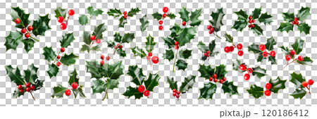 Set of isolated Holly branches on a transparent background for ornamental Christmas and New Year party decoration elements. AI generated. 120186412