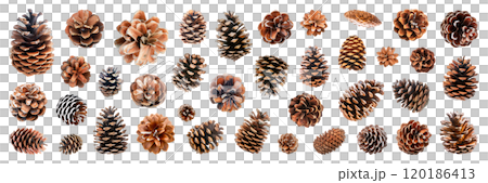 Set of isolated pinecones on a transparent background for ornamental Christmas and New Year party decoration elements. AI generated. 120186413