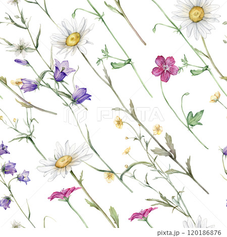 Watercolor floral seamless pattern with summer meadow flowers in botanical rustic style. Hand drawn print with bluebell, buttercup, clover, chamomile, geranium. Repeat wallpaper with leaves and plants 120186876