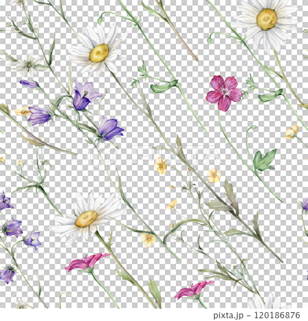 Watercolor floral seamless pattern with summer meadow flowers in botanical rustic style. Hand drawn print with bluebell, buttercup, clover, chamomile, geranium. Repeat wallpaper with leaves and plants 120186876