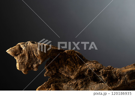 Dried wooden snag on a black background. Dried wooden snag on a black background. 120186935