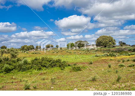 Driving with the car through the Alentejo in Portugal. Area around Nisa and Castelo de Vide Driving with the car through the Alentejo in Portugal. Area around Nisa and Castelo de Vide 120186980