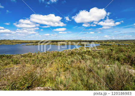 Spring nature, lake landscape. Povoa e Meadas Dam in Castelo de Vide, Alentejo Portugal. Spring nature, lake landscape. Povoa e Meadas Dam in Castelo de Vide, Alentejo Portugal. 120186983