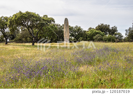 The Standing Stone, Menhir of Meada at Castelo de Vide, Portugal. The largest of the Iberian Peninsula. 120187019