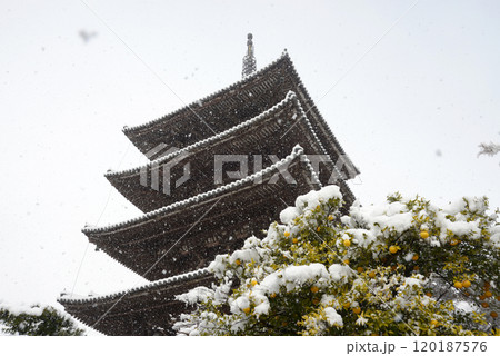 八坂の塔　雪景色　京都市東山区 120187576