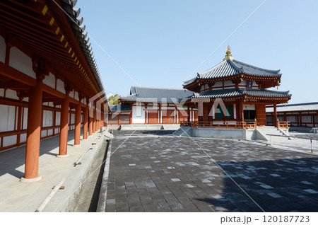 薬師寺　玄奘三蔵院伽藍　奈良県奈良市西ノ京 120187723