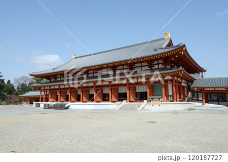 薬師寺　大講堂　奈良県奈良市西ノ京 120187727