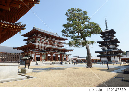 薬師寺 境内 奈良県奈良市西ノ京 薬師寺 境内 奈良県奈良市西ノ京 120187759