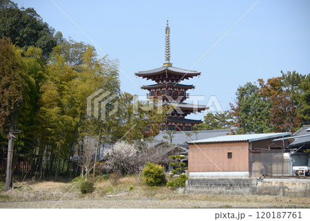 薬師寺 東塔遠望 奈良県奈良市西ノ京 薬師寺 東塔遠望 奈良県奈良市西ノ京 120187761