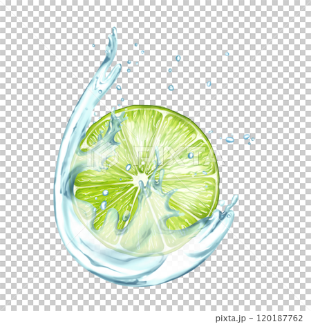 Lime with water splash. Fruit illustration on white background 120187762